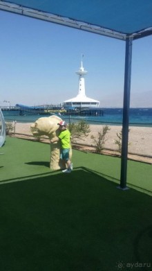 Парк обсерватории.