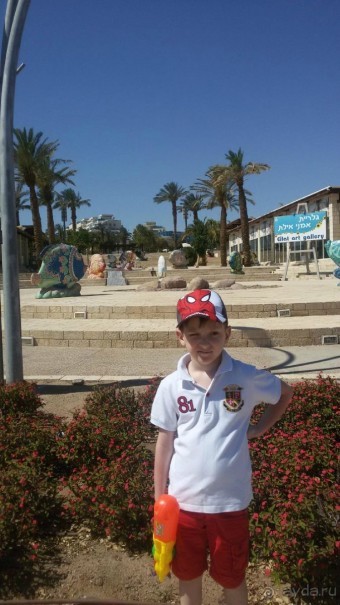 Эйлат - отдых весной на море