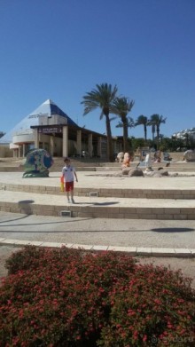 Центральный парк