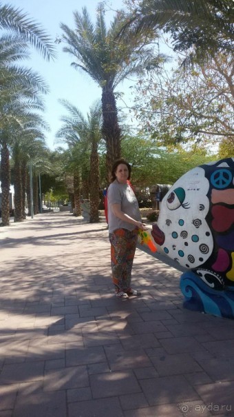 Эйлат - отдых весной на море