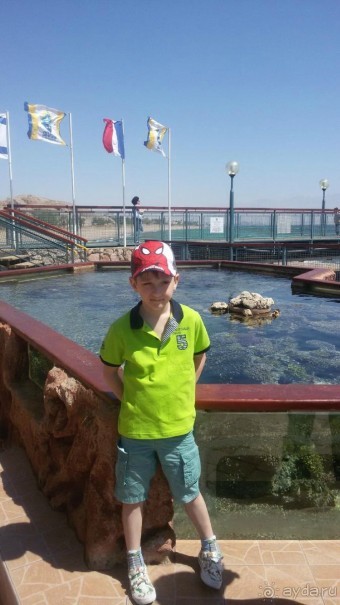 Обсерватория. Билет 79 шекелей с кинофильмов через интерент в кассе чуть дороже. Вход три дня. Только не забудьте сфыотографироваться.