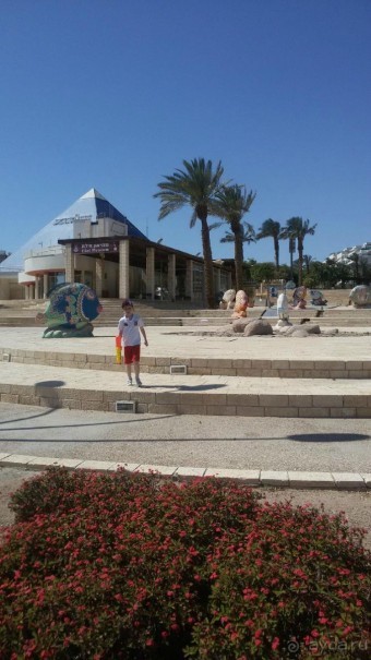 Центральный парк