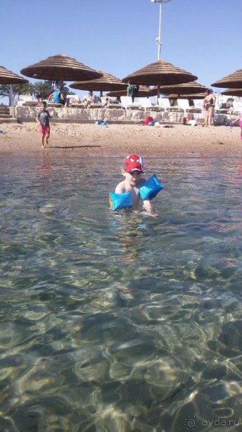 Эйлат - отдых весной на море