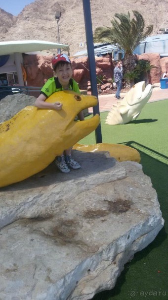 Детская площадка обсерватории