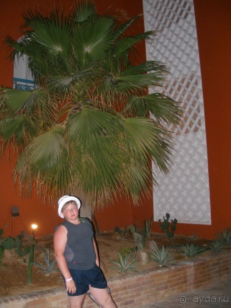 фото Tropicana Grand Azure