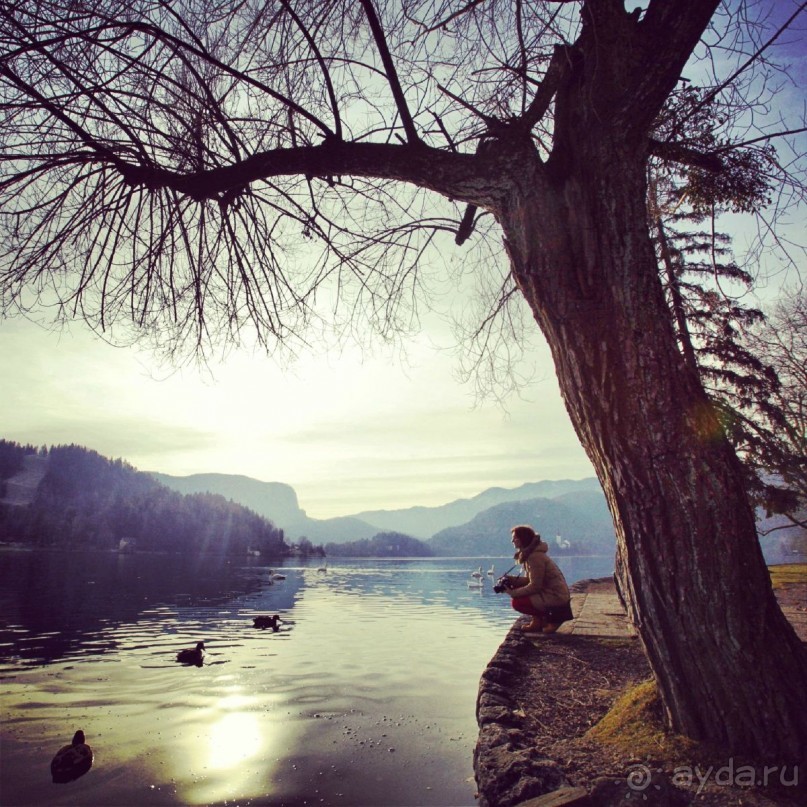 Альбом отзыва "Словения волшебна!"
