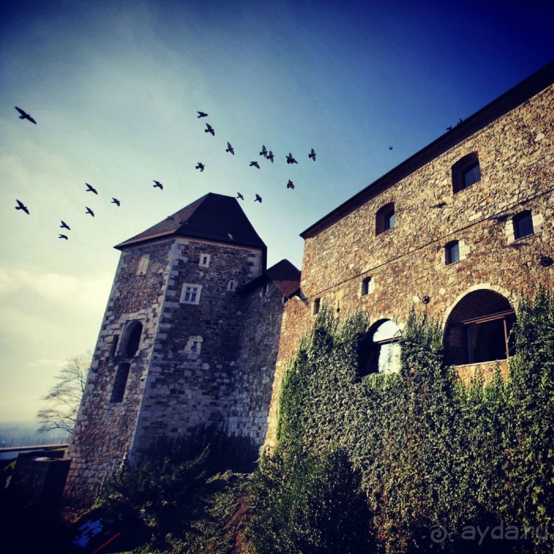 Альбом отзыва "Словения волшебна!"