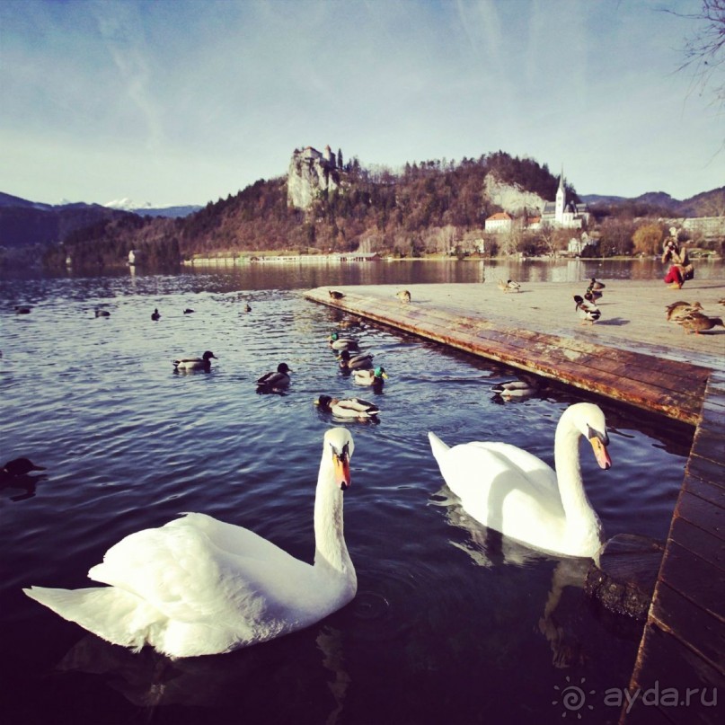 Альбом отзыва "Словения волшебна!"