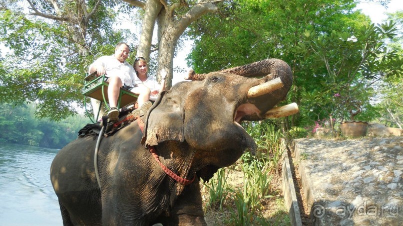 Везде есть минусы и плюсы...((((..)))))