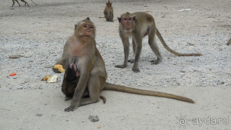 Везде есть минусы и плюсы...((((..)))))