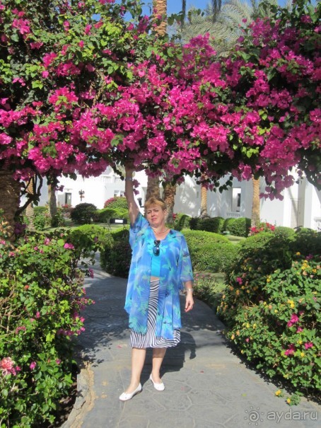 Уютный отель