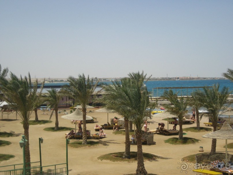 фото Amarante Cannes