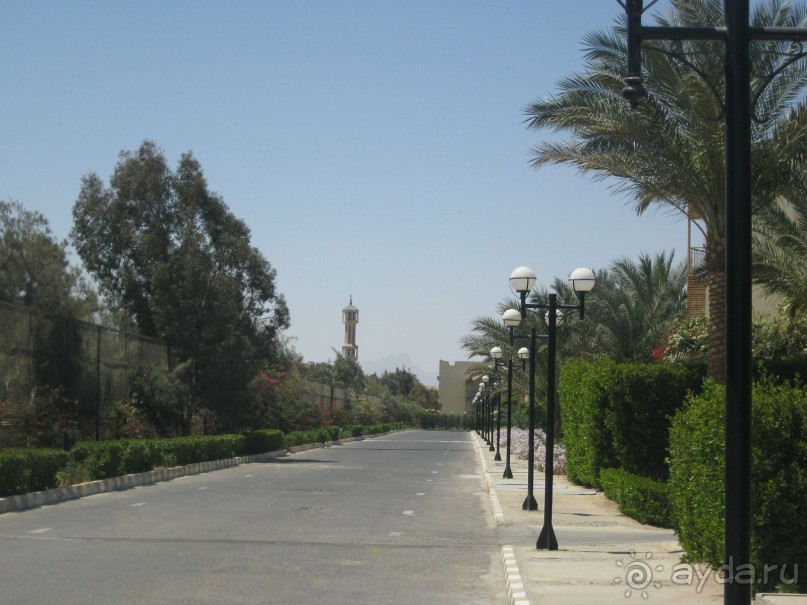 фото Amarante Cannes