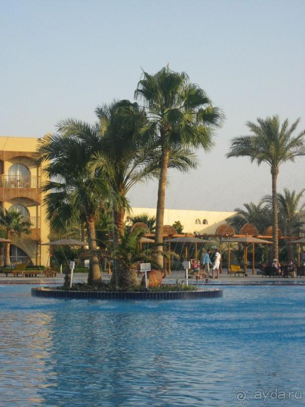 фото Amarante Cannes