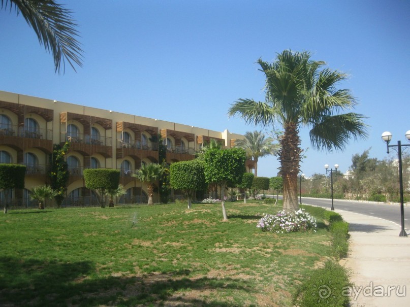 фото Amarante Cannes