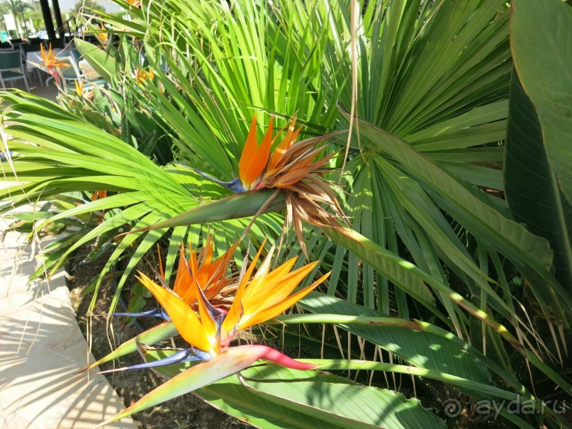 фото Balladins Cannes Mandelieu