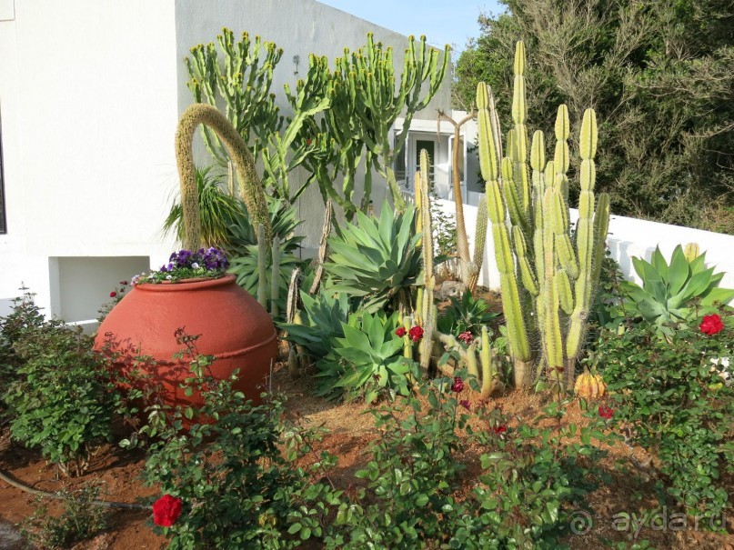 фото Balladins Cannes Mandelieu