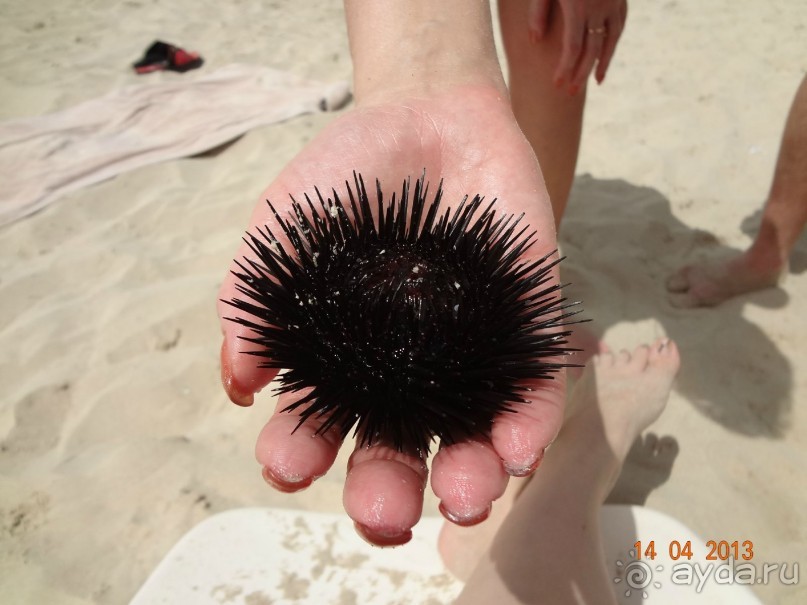 Рекомендую