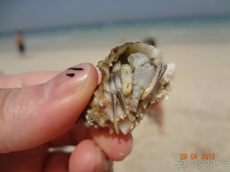 Рекомендую