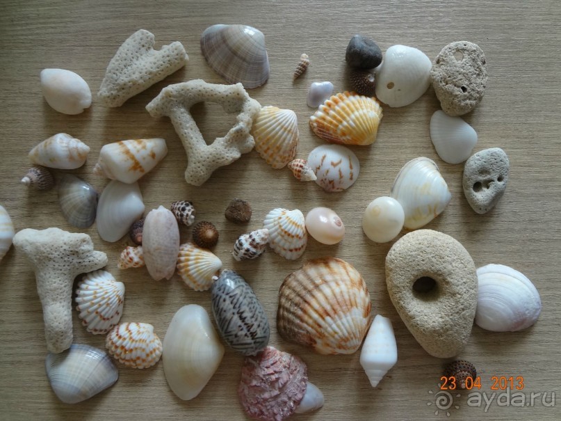 Рекомендую