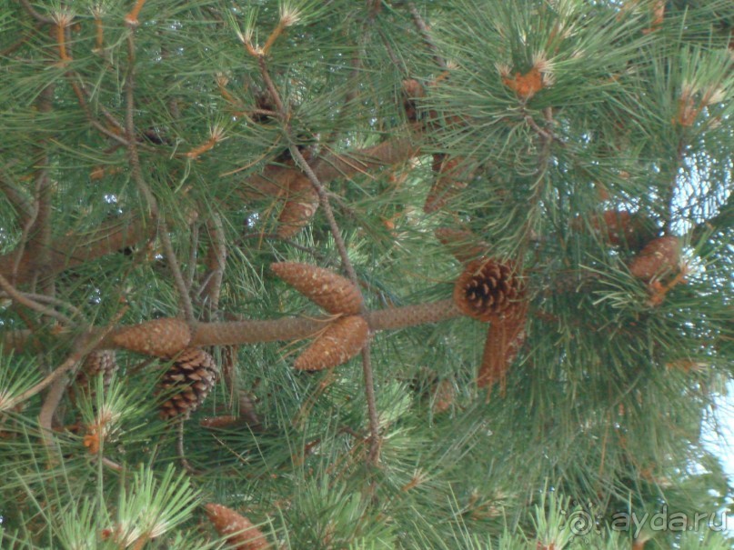 Отель для спокойного семейного отдыха с детьми
