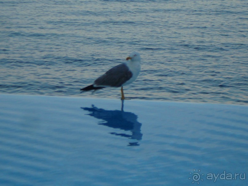 Отель для спокойного семейного отдыха с детьми