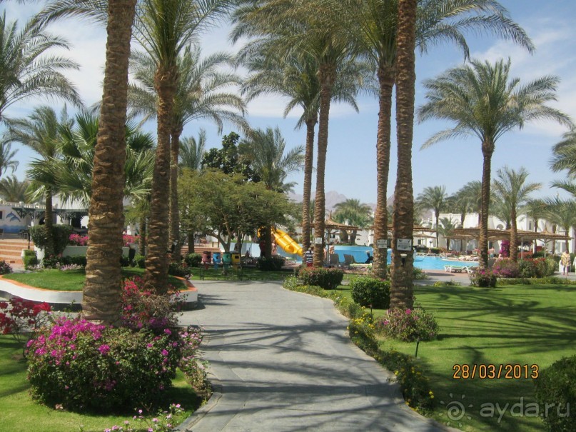 фото Sonesta Club Sharm el Sheikh