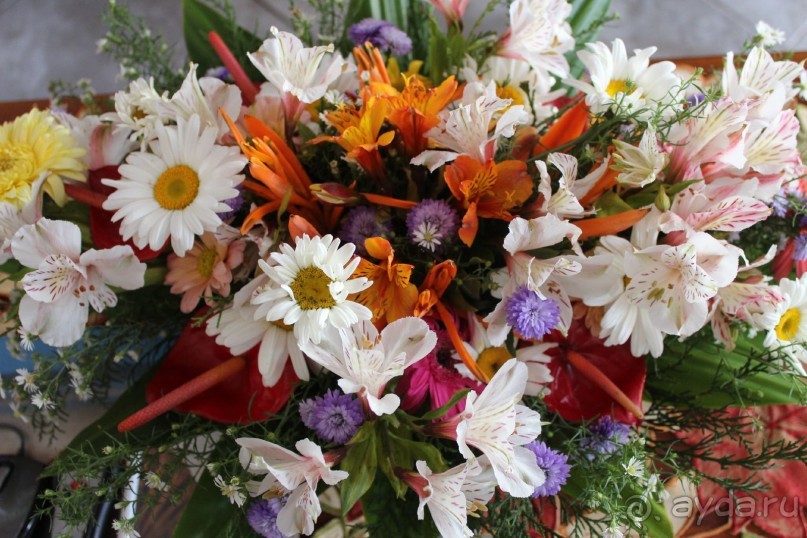 Хочу обязательно вернуться!