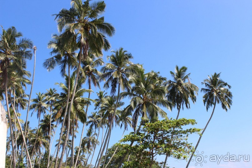 Хочу обязательно вернуться!