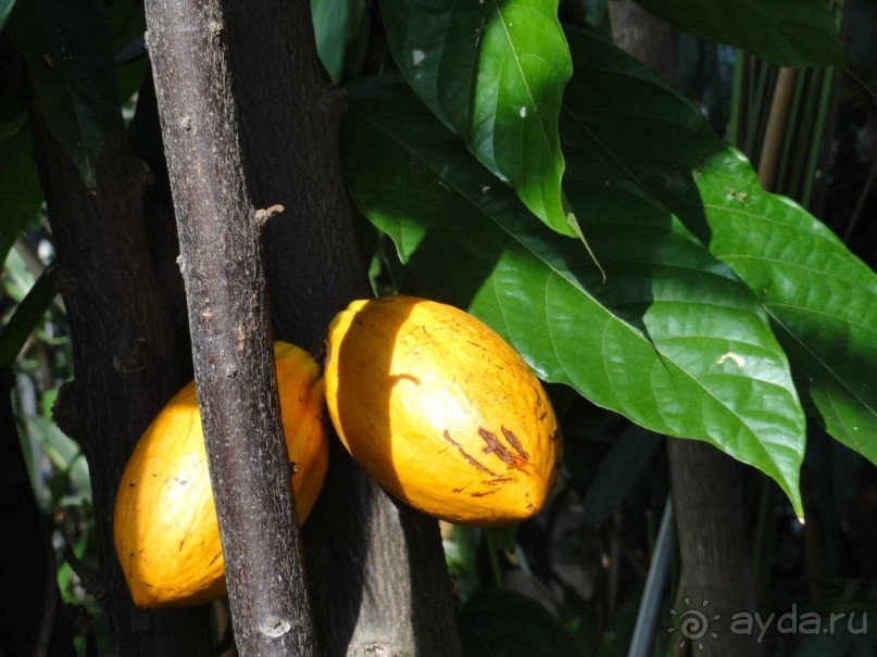 Финляндия в апреле- сказочная Северная Карелия