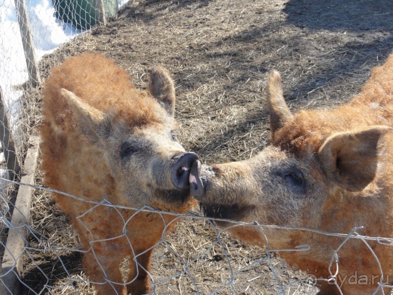 Финляндия в апреле- сказочная Северная Карелия