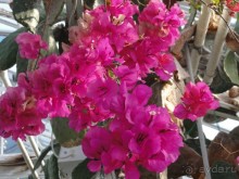 Финляндия в апреле- сказочная Северная Карелия