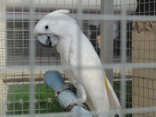 Финляндия в апреле- сказочная Северная Карелия