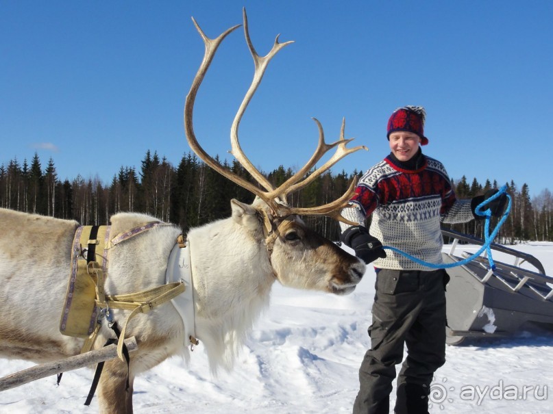 Финляндия в апреле- сказочная Северная Карелия