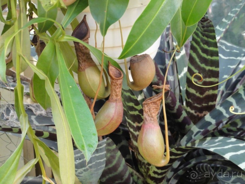 Финляндия в апреле- сказочная Северная Карелия