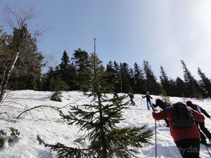 Финляндия в апреле- сказочная Северная Карелия