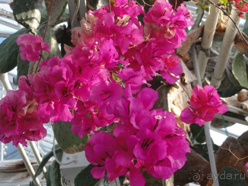 Финляндия в апреле- сказочная Северная Карелия