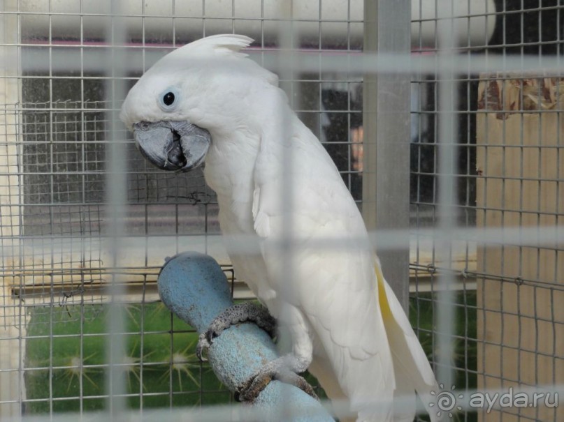 Финляндия в апреле- сказочная Северная Карелия