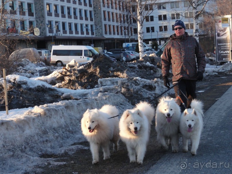 Финляндия в апреле- сказочная Северная Карелия