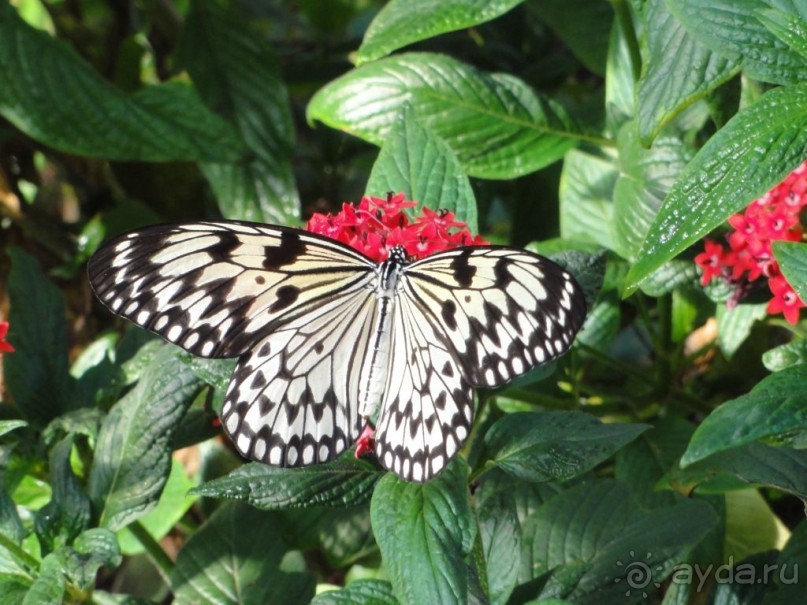 Финляндия в апреле- сказочная Северная Карелия