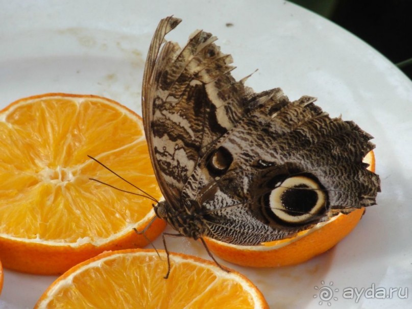 Финляндия в апреле- сказочная Северная Карелия