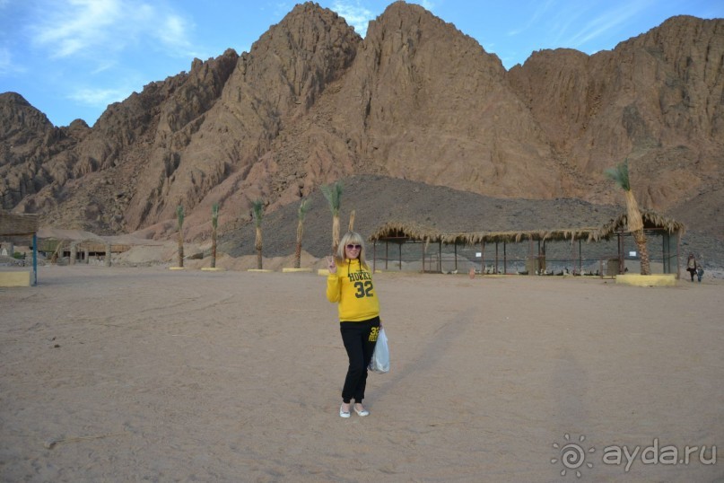 Ничего хорошего в отле не увидела!