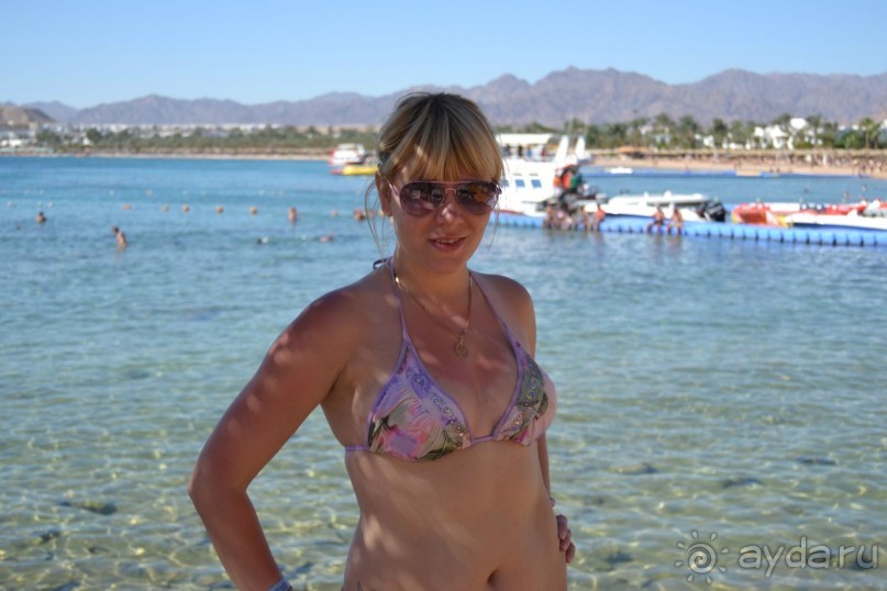 Ничего хорошего в отле не увидела!