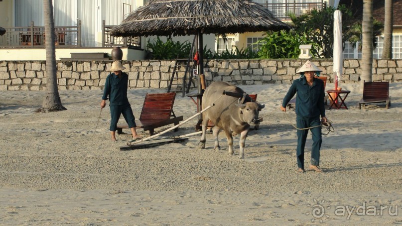 Выравнивание песка на пляже.