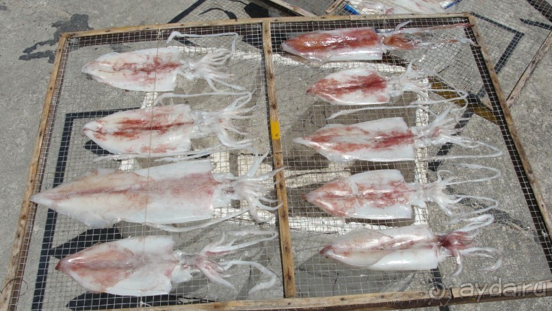 Рыбаки сушат кальмаров