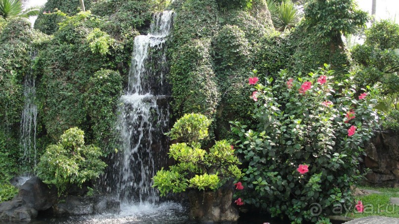 На территории отеля