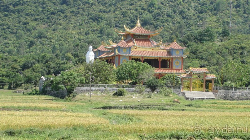 Пагода и рисовые поля.