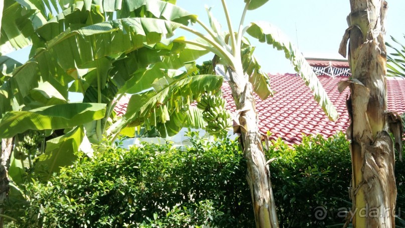 Для тех кто устал от цивилизации