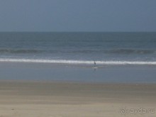 Полный покой!