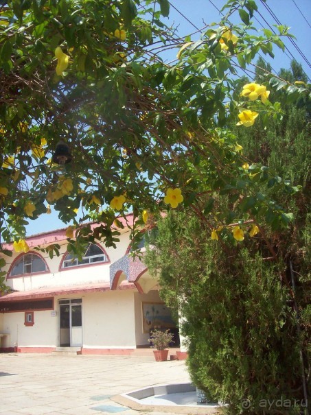 Полный покой!